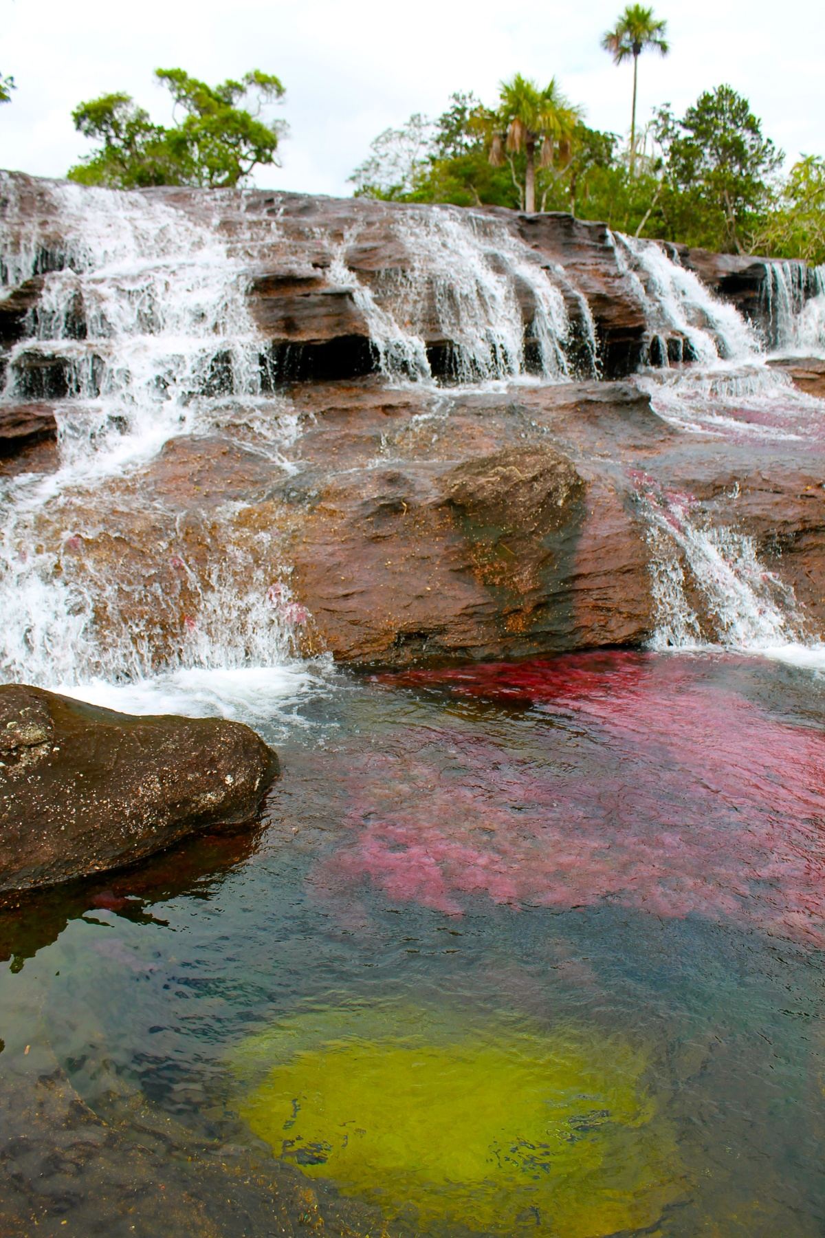 Caño Cristales